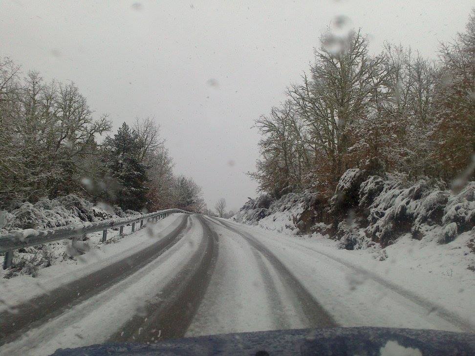 Carretera que une Codesal con Manzanal de Arriba (Foto: Radar Zamora)