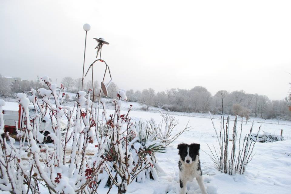 Acumulaciones de nieve en Manzanal de Arriba, en Sanabria-Carballeda (Foto:Radar Zamora)