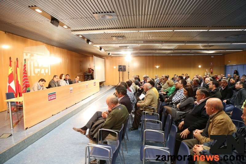 Un momento del Consejo de Alcaldes celebrado hoy