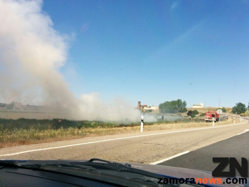 Los Bomberos trabajan en la extinción del incendio