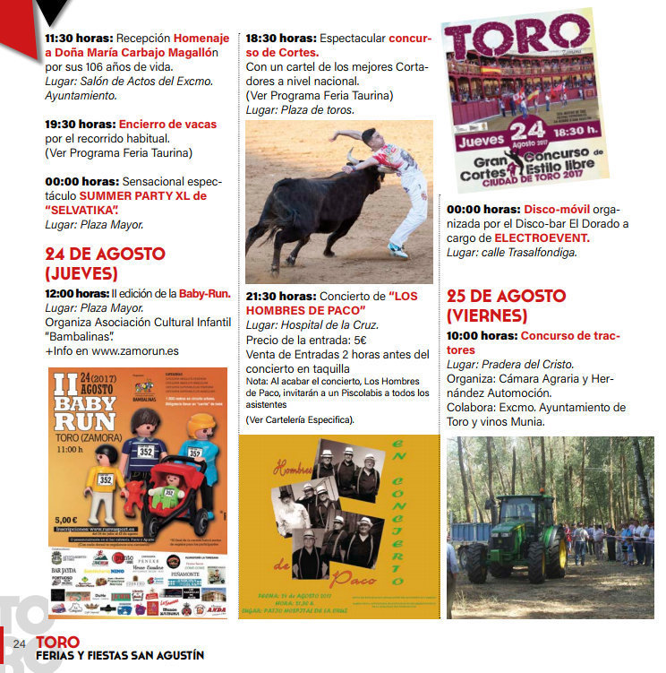 Toro_fiestas17_15.jpg