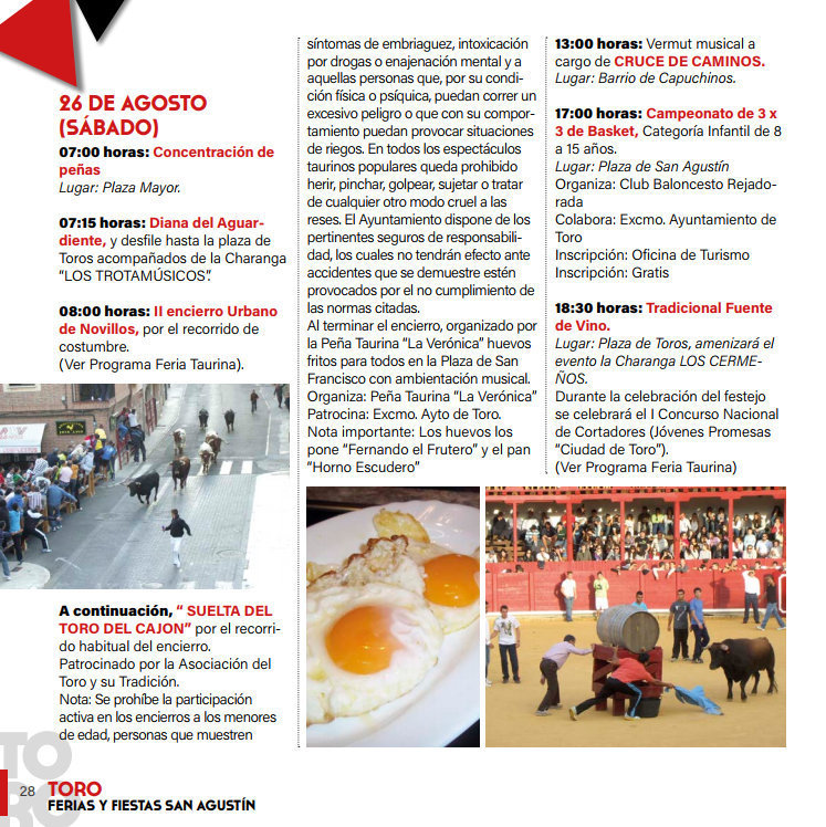 Toro_fiestas17_17.jpg