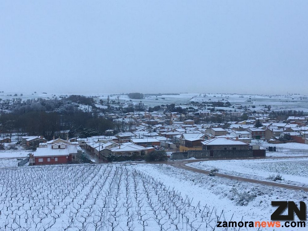 Venialbo_nevado.jpg