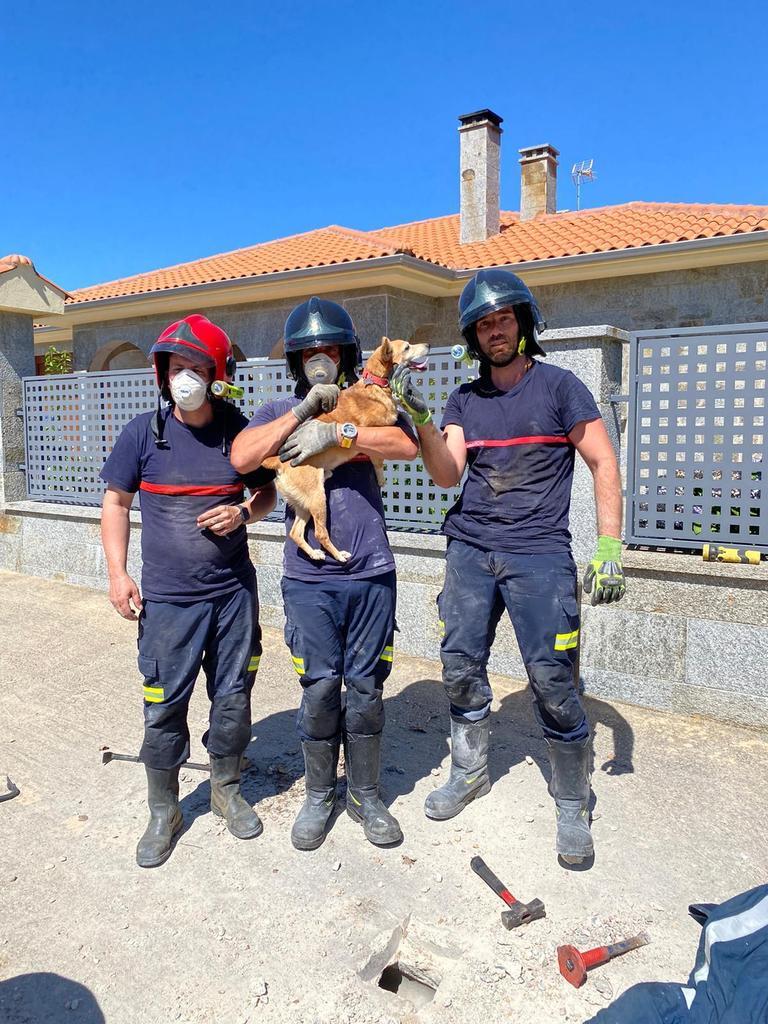 bomberos_con_perro.jpg