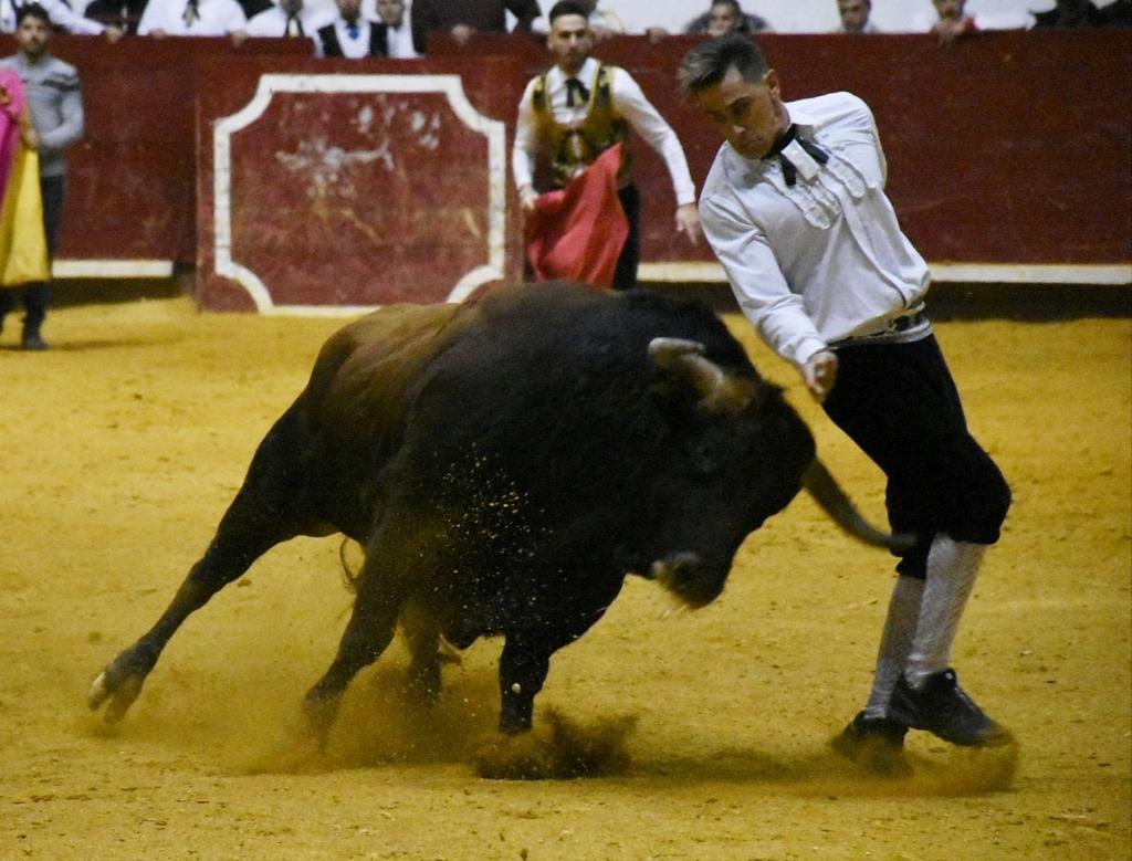 cortes_castilla_y_león_6.jpg