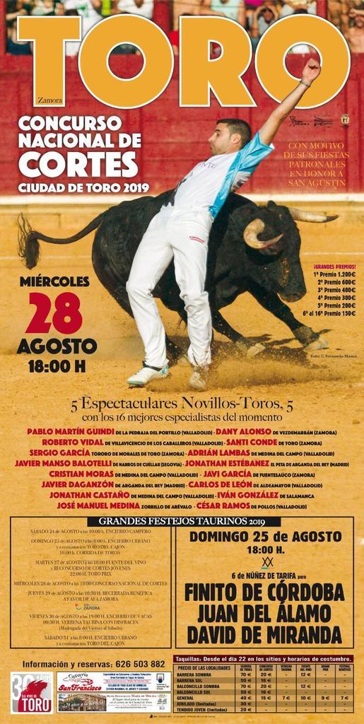 cortes_toro.jpg