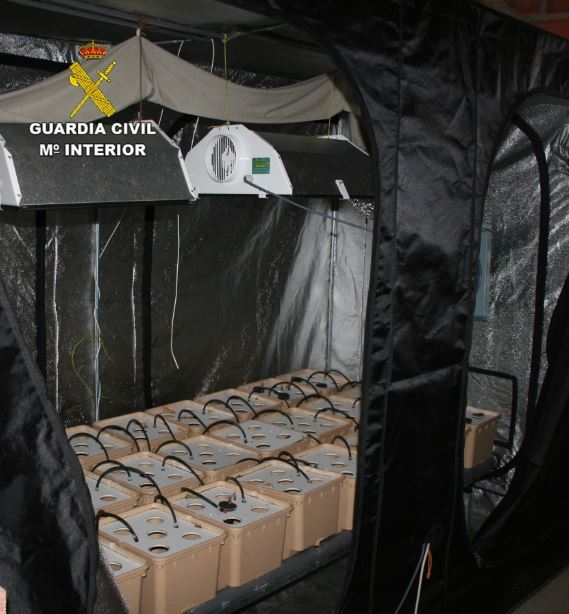 Armario de cultivo hidropónico de marihuana