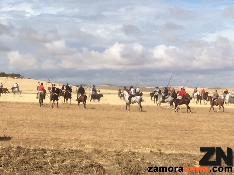 Los novillos de Clairac han dado muy buen juego