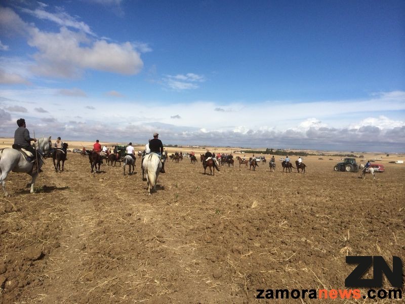 El encierro se ha saldado sin incidentes de importancia