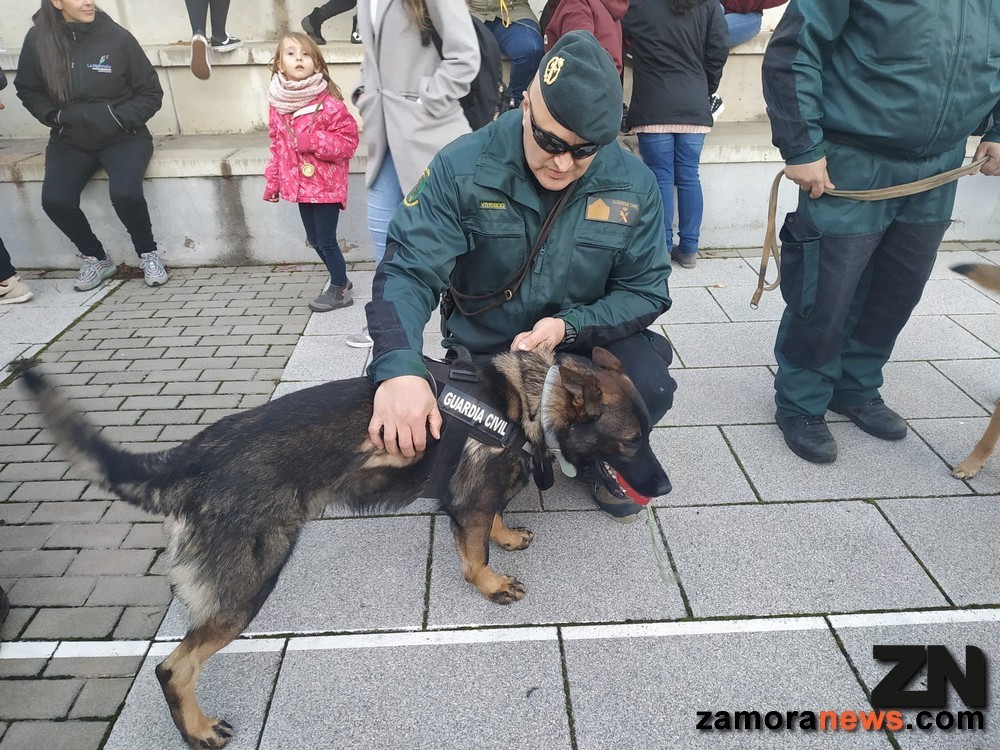 gcivil_perros_brigada_canina.jpg