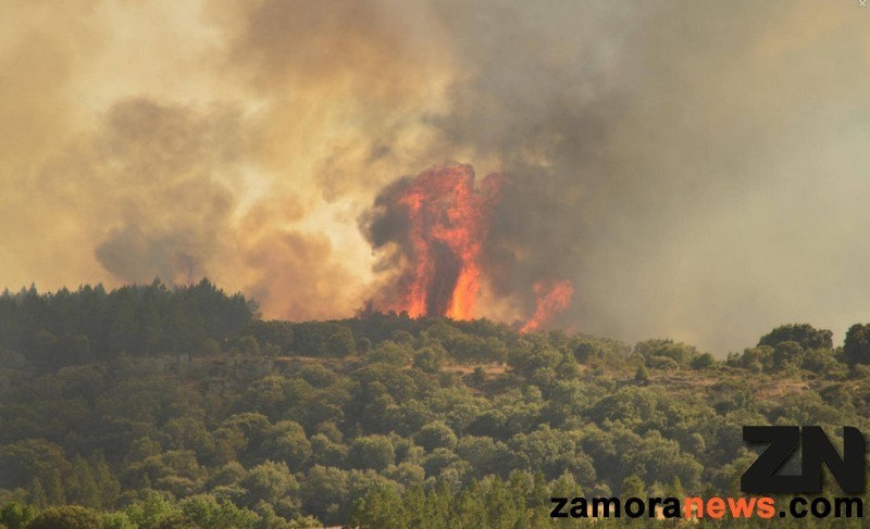 incendio_castro_alcañices.jpg