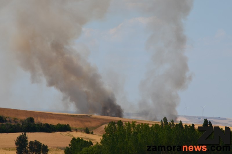 Gruesas columnas de humo se elevan al cielo (Fotos:RadarZamora)