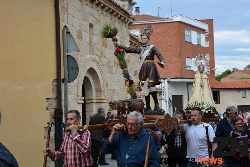 san_Isidro_zamoranews_11_tn.jpg