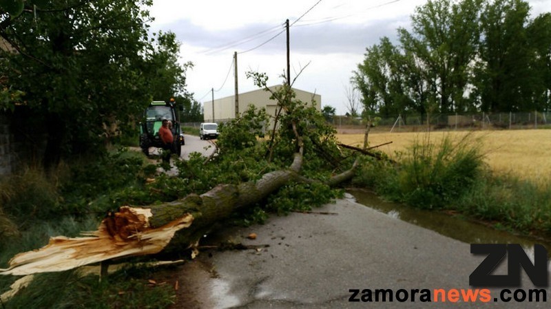 tormenta2_tn.jpg