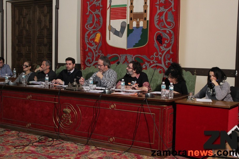 ultimo-pleno_zamoranews_5_tn.jpg