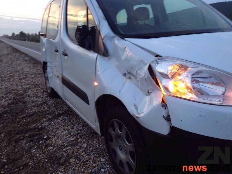 Estado del vehícullo en la parte donde se produjo el impacto con el animal