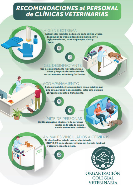 veterinarios.jpg