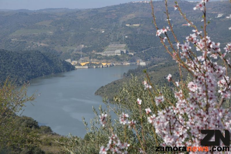 El Jerte en versión almendro se disfruta en Fermoselle, Arribes del Duero,  mantos blan...