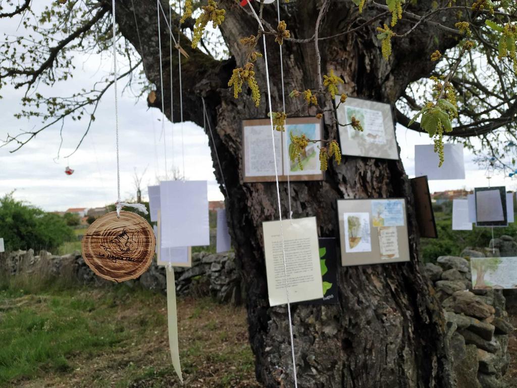 Cartas a Cuqui. Fotos: Cedidas por La Mayuela