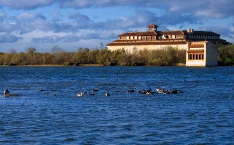 Lagunas de Villafáfila