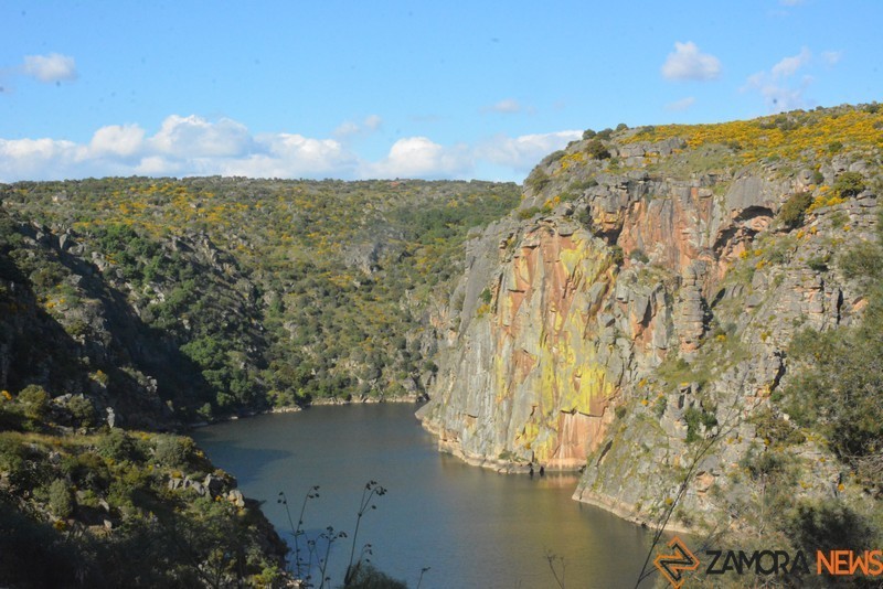 portugal sayago primavera (73)