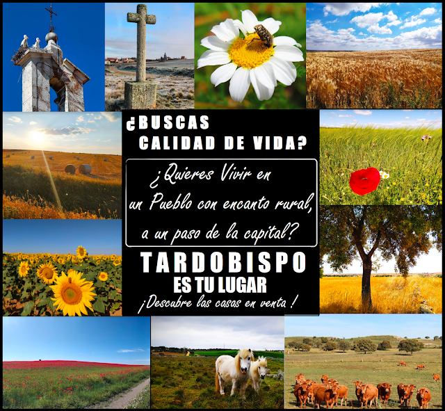 Cartel Tardobispo