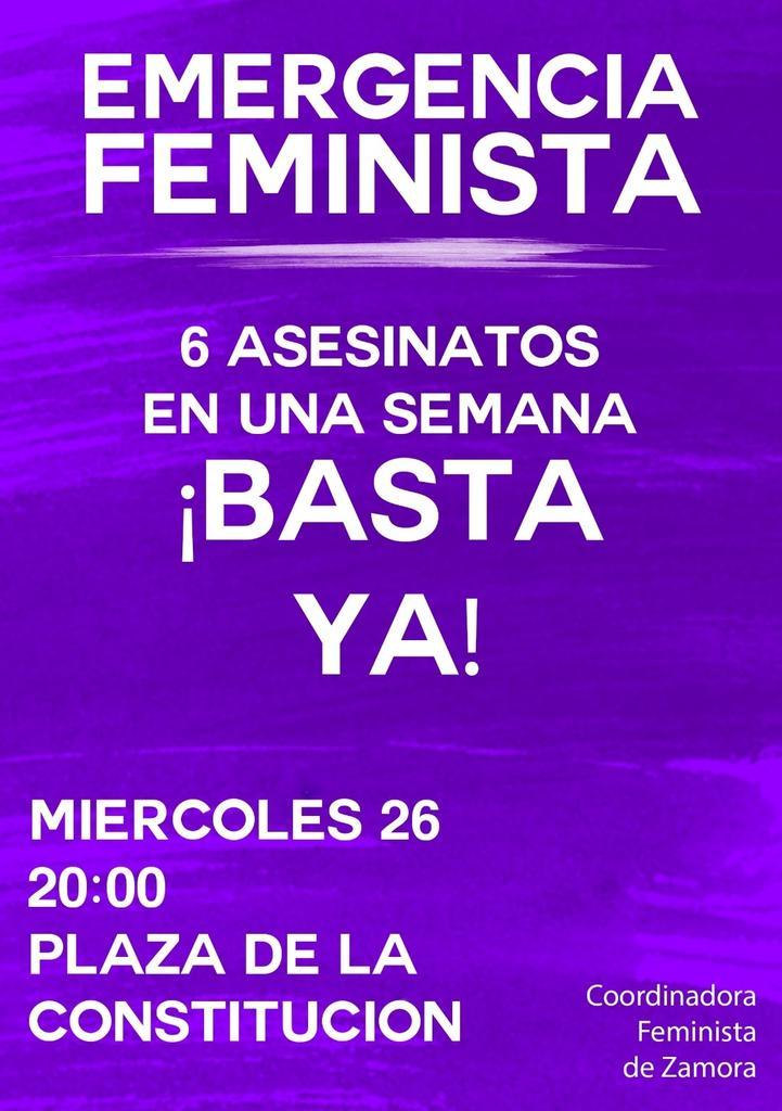 Cartel manifestación Coordinadora Feminista de Zamora
