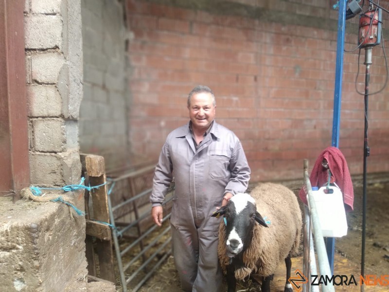 Laureano Andrés, ganadero de Ricobayo