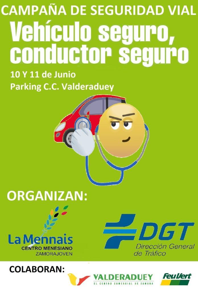 Cartel de la campaña Vehículo Seguro
