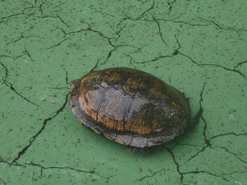 3ac78893-564f-438a-86a8-ef2875009cab