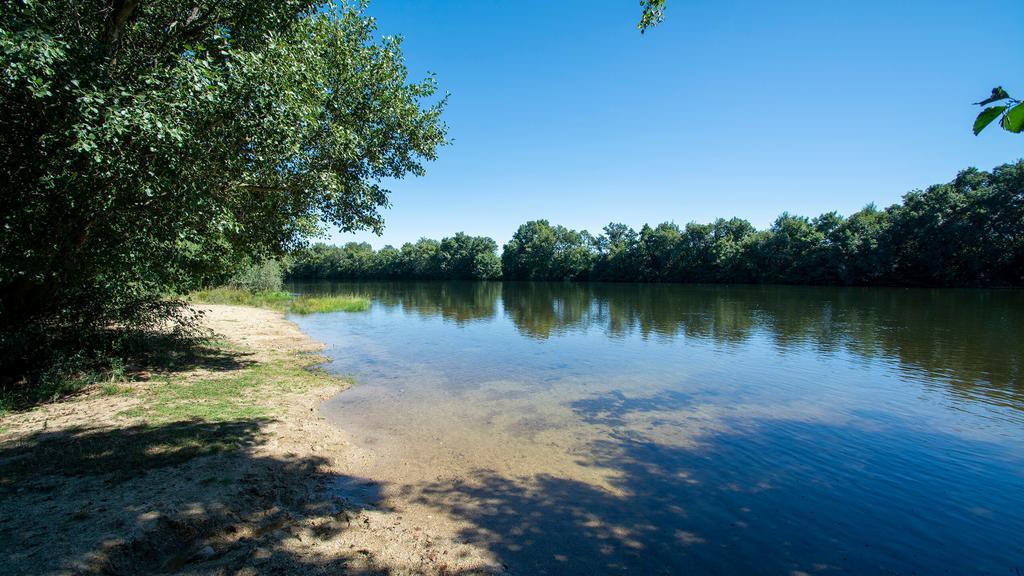 8352caa2d0f51589e9dfc77e8634dc95