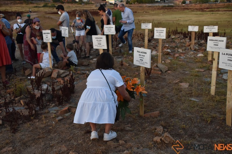 palacios iberdorla seca la provincia  (134)
