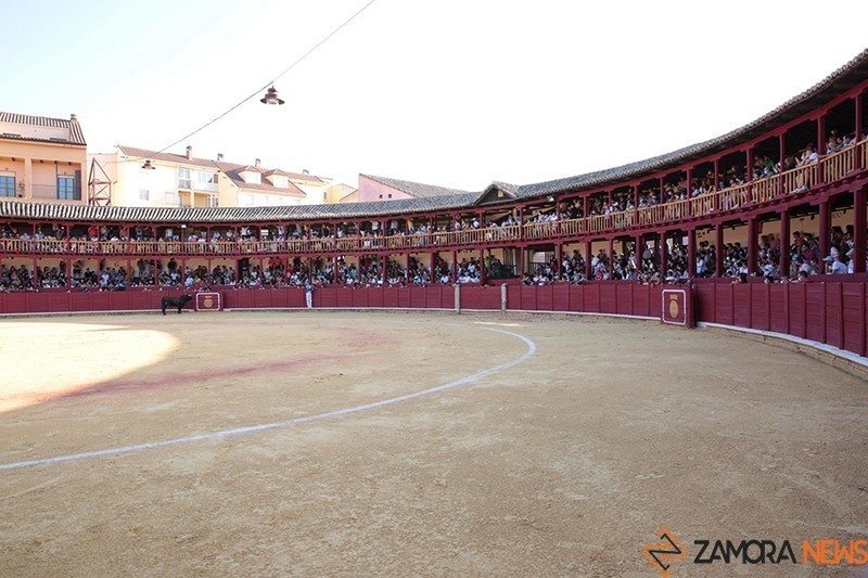 cortes