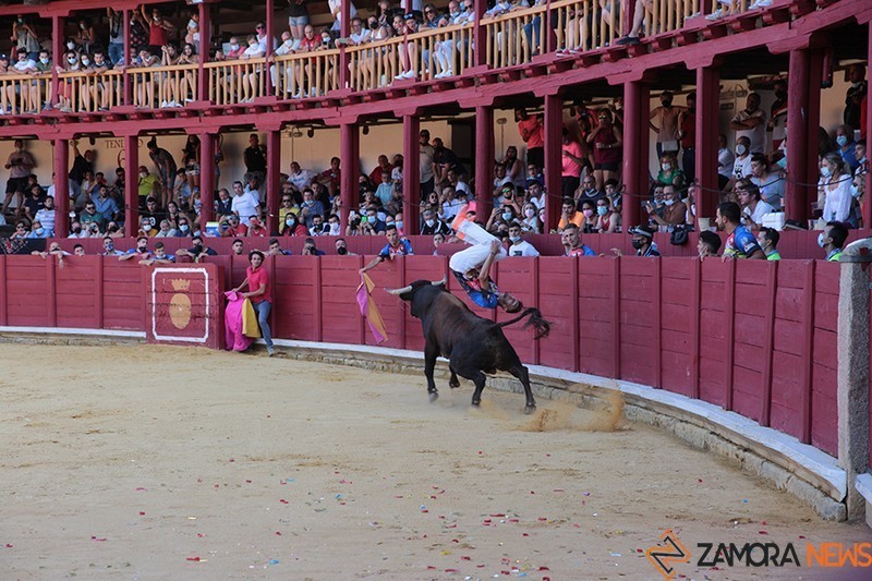 cortes