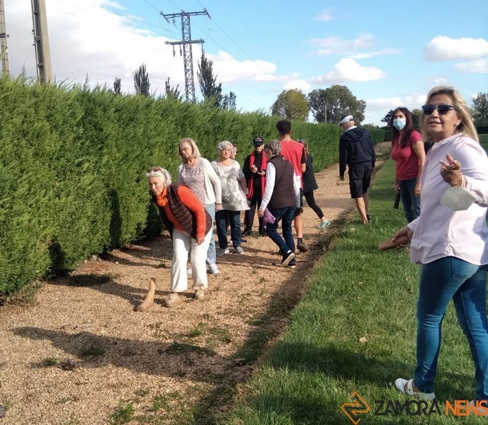 Campeonato de Calva en Granja de Moreruela