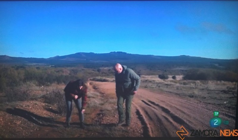 Adela Úcar con Javier Talegón