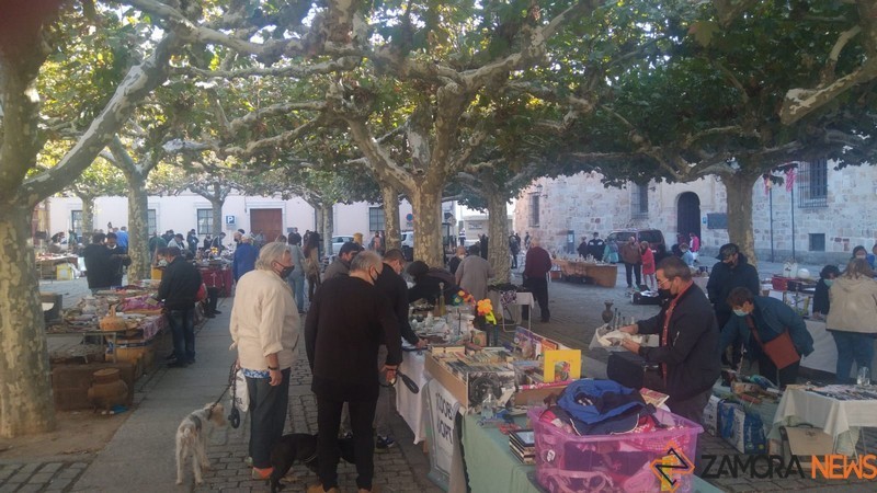 rastro Plaza viriato