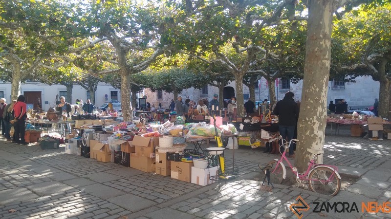 Rastro Plaza de Viriato