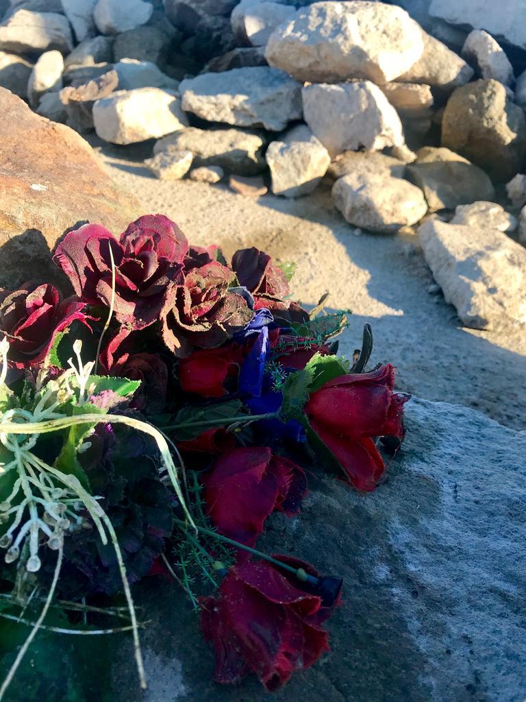 Restos visibles del cementerio de Argusino en 2019