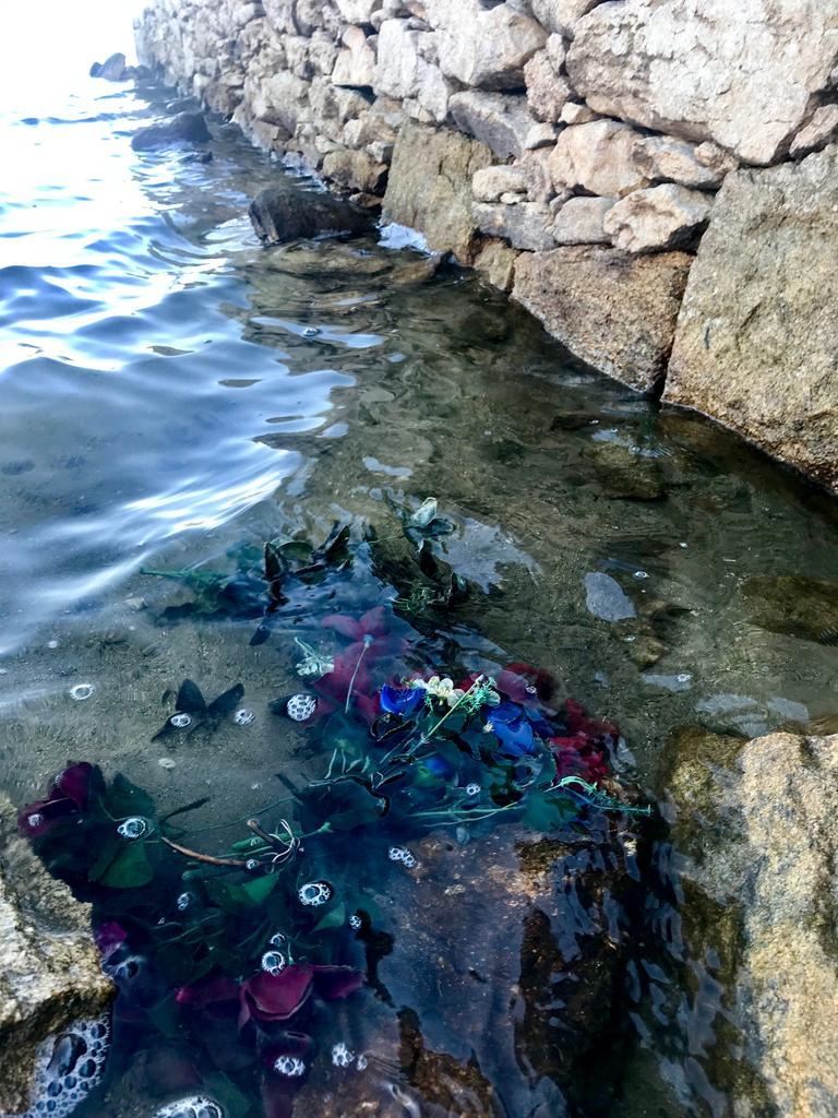 Restos visibles del cementerio de Argusino en 2019