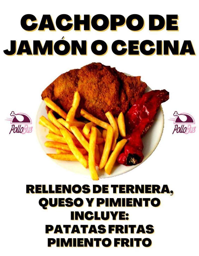 pollo bus (4)