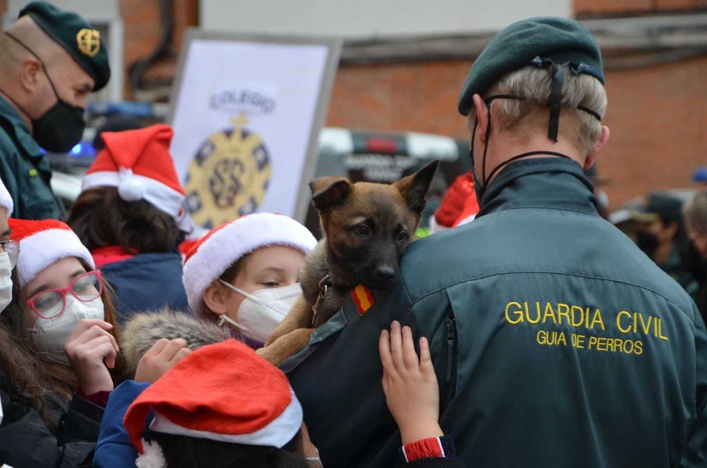 perros gcivil zamora