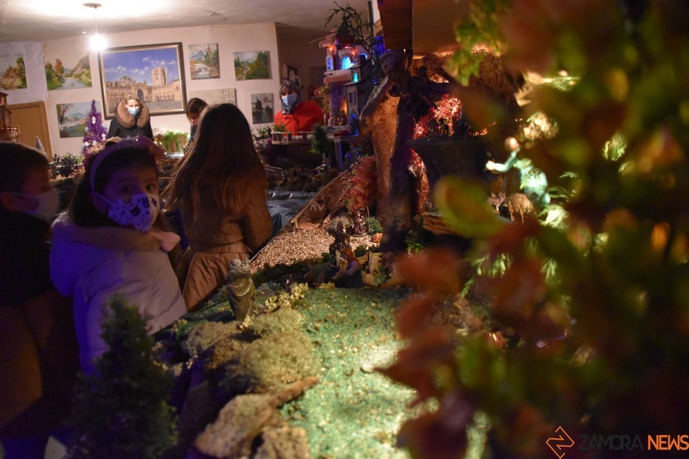 Belén de Vivi en el piñero (28)