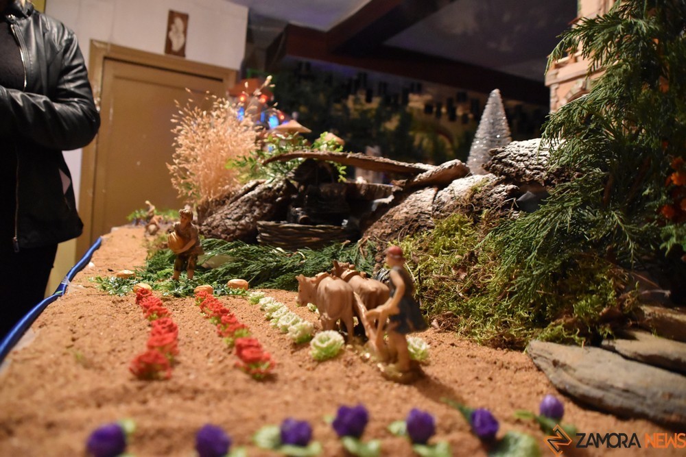 Belén de Vivi en el piñero (45)