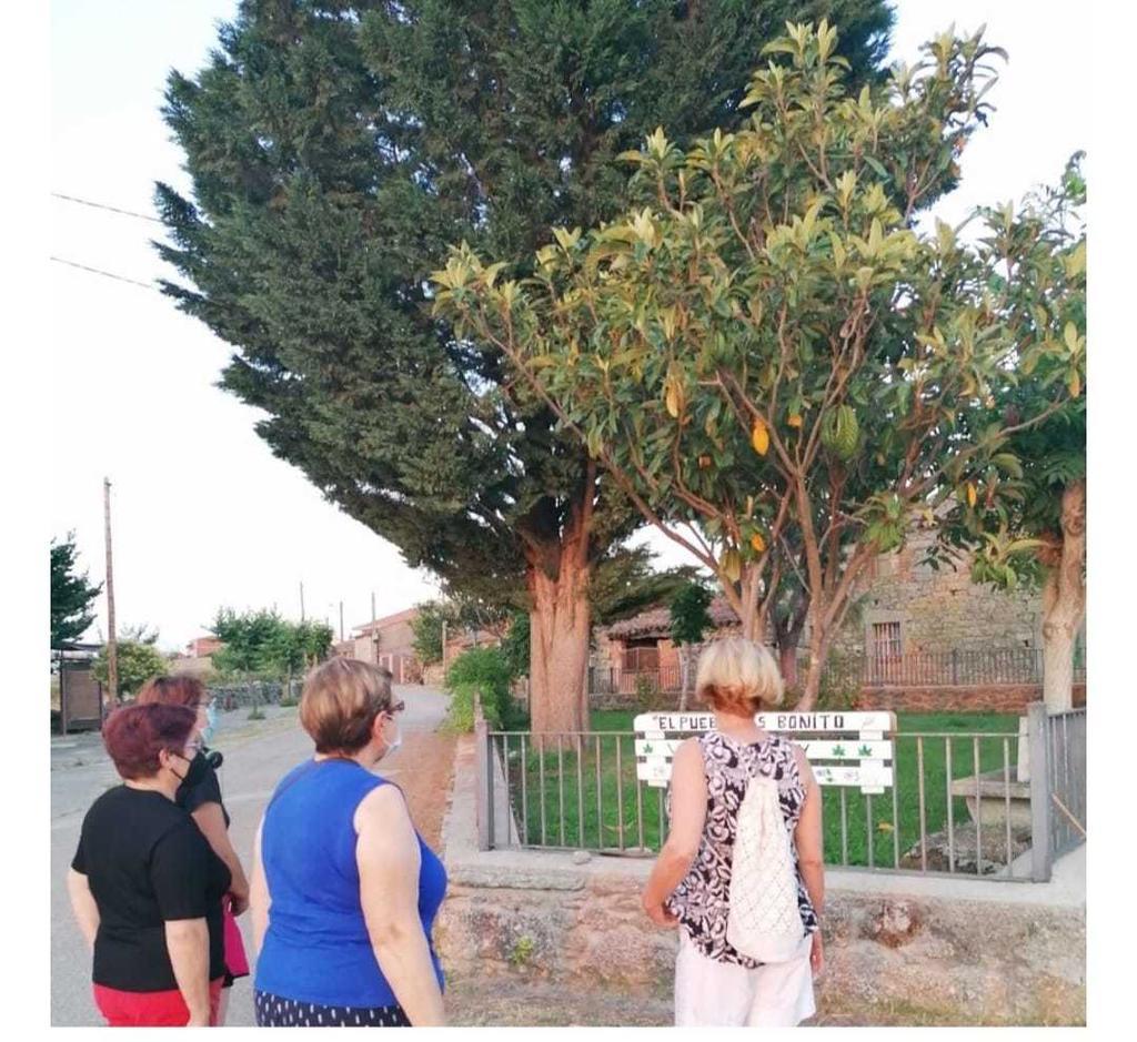 WhatsApp Image 2022-01-01 at 11.17.21