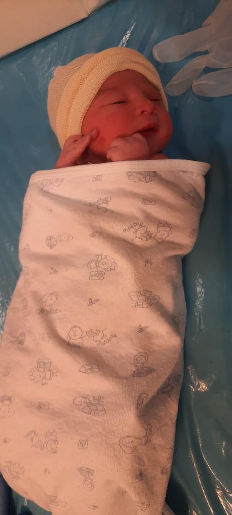 fernando primer zamorano del año