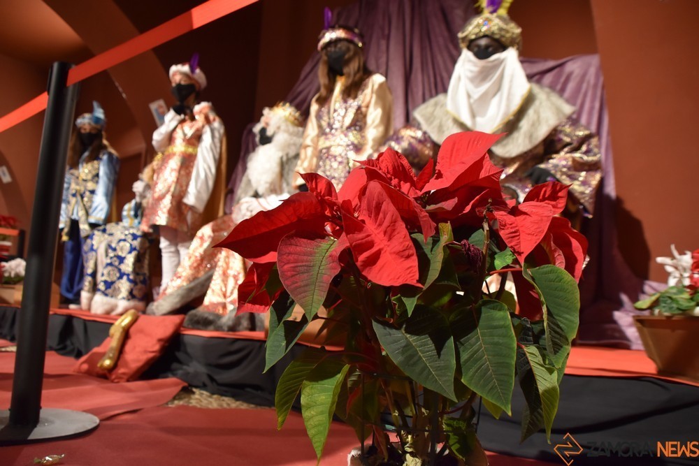 reyes magos toro  (11)