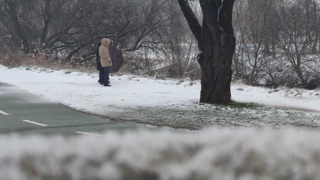 a73a2271-019c-4f2a-9938-82de3272925a