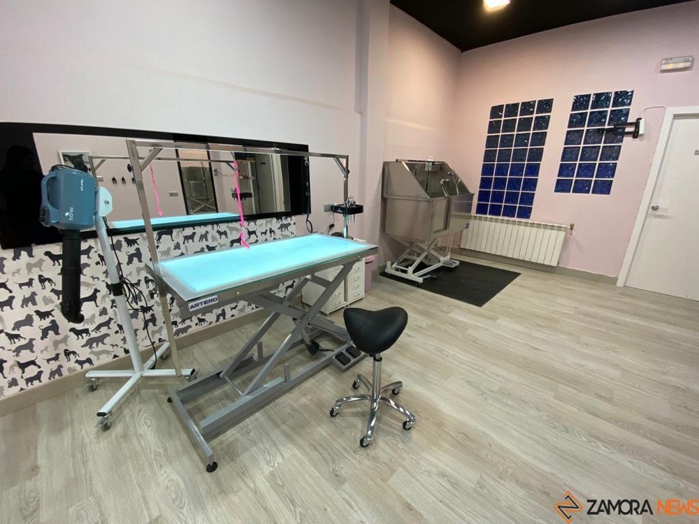 ariadna lópez peluquería canina (3)