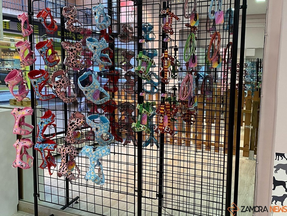 ariadna lópez peluquería canina (6)